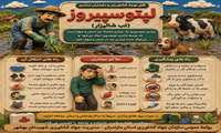 تب شالیزار