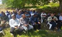 برگزاری کارگاه آموزشی مدیریت آفات و بیماری های برنج در مزارع هزارجریب گلوگاه