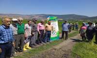 ثبت بیش از هزار نفرروز آموزش در بخش کشاورزی در شهرستان ساری 