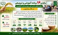 برگزاری ۱۶ برنامه آموزشی و ترویجی برای ارتقای دانش فنی بهره‌برداران کشاورزی در قائم‌شهر