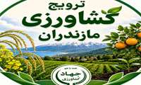 ثبت ۴ هزار نفرروز آموزش بهره‌برداران مازندران در سامانه سابک