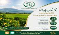راهکارهای ترویجی برای صیانت از تولید در مازندران