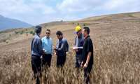 برآورد خسارت تگرگ و طوفان به دو روستای بخش هزارجریب بهشهر
