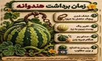 زمان برداشت هندوانه