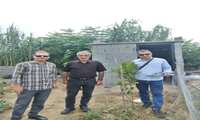 بهره‌برداری از سامانه آبیاری تحت فشار در دو هکتار از اراضی کشاورزی روستای گالشکلا 