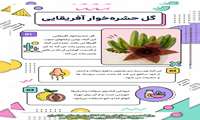 گل حشره خوار افریقایی