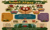 ۲۶ تیر روز پیوند اعضا
