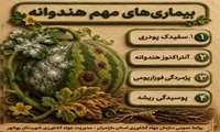 هندوانه