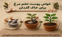 کاربرد پوست و آب تخم مرغ در گیاهان