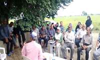 برگزاری نخستین تور ترویجی به‌زراعی برنج در روستای خردمرد رضایی بابلسر