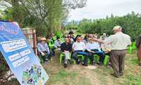 تور ترویجی مدیریت بیماری‌های برنج در روستای آهنگرکلا سوادکوه شمالی برگزار شد