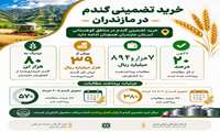 آخرین وضعیت خرید تضمینی گندم در مازندران 