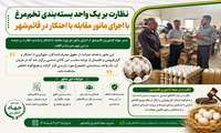 نظارت بر یک واحد بسته‌بندی تخم‌مرغ با اجرای مانور مقابله با احتکار در قائم‌شهر