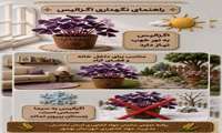راهنمای نگه داری اگزالیس