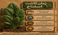 زمان کاشت اسفناج .کنجد.سویا بهاره