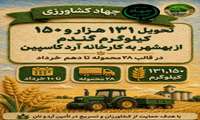 تحویل بالغ بر صد تن گندم به کارخانه آرد در بهشهر