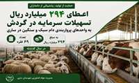  اعطای ۲۹۴ میلیارد ریال تسهیلات به واحدهای پرواربندی دام در ساری