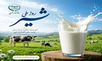 تولید ۵۴ هزار تن شیر خام در نور؛ گام دامداران در مسیر اقتصاد مقاومتی