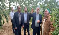  حمایت از تولید کشاورزی در روستاها، محور تحقق اقتصاد مقاومتی و احیای روستازیستی است