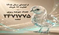 ثبت بیش از دو میلیون قطعه جوجه‌ریزی؛ بهشهر در مسیر تثبیت جایگاه راهبردی تولید طیور 