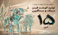 تولید ۱۵ تن گوشت قرمز در بهشهر از ابتدای سال تا هفدهم خرداد