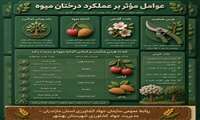 عوامل موثر بر عملکرد درختان