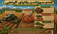 عدم سوزاندن بقایای گیاهی بعد از برداشت
