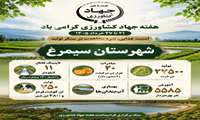 عملکرد شهرستان سیمرغ 1404