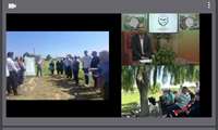 اجرای کاروان ترویجی مزارع الگویی برنج در مازندران