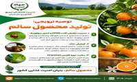  پوستر آموزشی ترویجی  /تولید محصول سالم