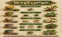 خواص کودها