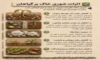 شوری خاک