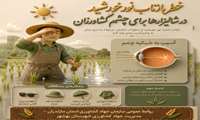 خطر انعکاس نور در شالیزار