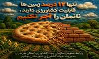 تنها ۱۲ درصد  زمین های کشاورزی قابلیت کشاورزی دارند 