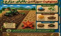 ممنوعیت سوزاندن بقایای گیاهی 