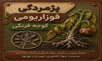 پژمردگی فوزاریومی گوجه فرنگی