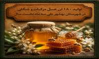 تولید ۱۸۰ تن عسل مرکبات و جنگلی در شهرستان بهشهر  