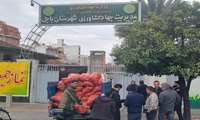 توزیع ۱۰ تن سیب زمینی تنظیم بازاری در شهرستان بابل با هدف حمایت از مصرف‌کنندگان
