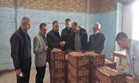 بازدید مدیر حهاد کشاورزی از مرکز توزیع میوه طرح تنظیم بازار شب عید در شهرستان نکا 