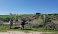 بازدید کشیک نوروزی با حضور مسئولان استانی از اراضی کشاورزی شهرستان نکا