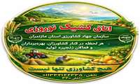  شماره‌های تماس کشیک تعطیلات نوروزی در ستاد و مدیریت‌های جهاد کشاورزی شهرستان‌ها
