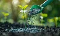 پایش سیستمی از 66 کارگزاری توزیع کودهای یارانه ای در مازندران