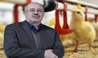 جوجه‌ریزی بیش از ۳.۲ میلیون قطعه‌ای در مازندران طی ۱۰ روز نخست فروردین