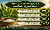 توزیع ۷۵۰ تن کود؛ روایت ایستادگی جهاد کشاورزی بهشهر در حمایت از تولید