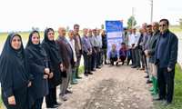برگزاری روز مزرعه مدیریت علف‌های هرز با حضور ۱۸ کشاورز در سایت الگویی برنج محمودآباد
