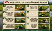 مدیریت کرم ساقه‌خوار برنج 