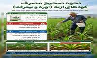نحوه صحیح مصرف کودهای ازته