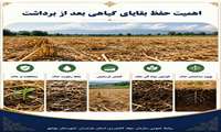 اهمیت حفظ بقایای گیاهی بعد از برداشت