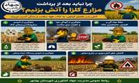 چرا نباید بعد ازبرداشت مزارع کلزا را آتش بزنیم 