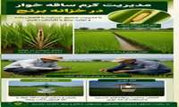 کرم ساقه‌خوار برنج